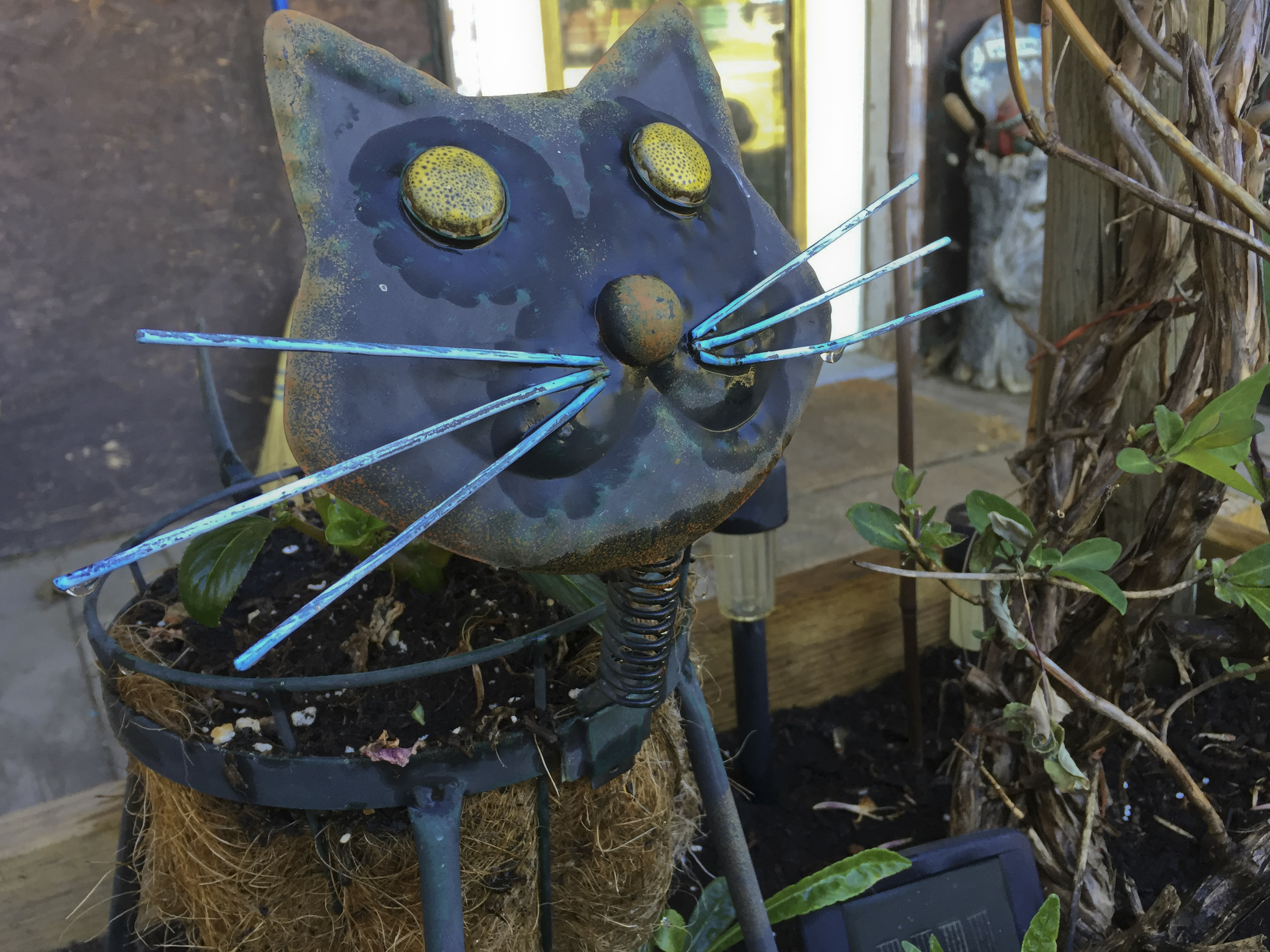 OKANAGAN PET RESORT PHOTO GALLERY