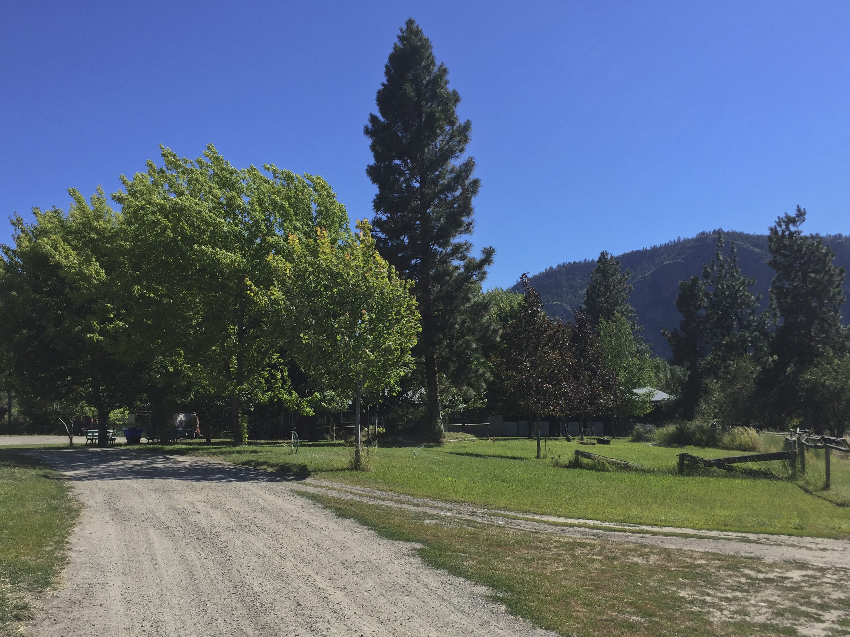 OKANAGAN PET RESORT PHOTO GALLERY