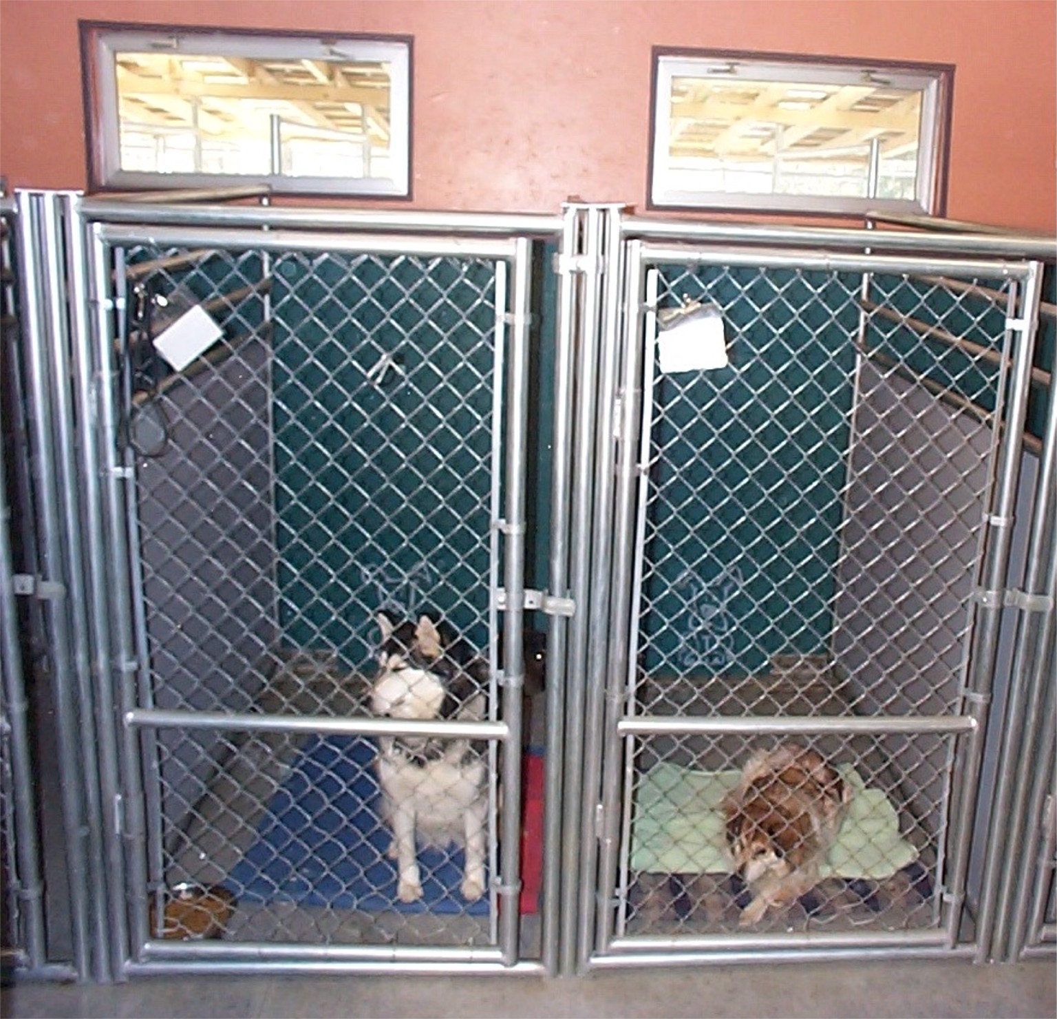 OKANAGAN PET RESORT PHOTO GALLERY