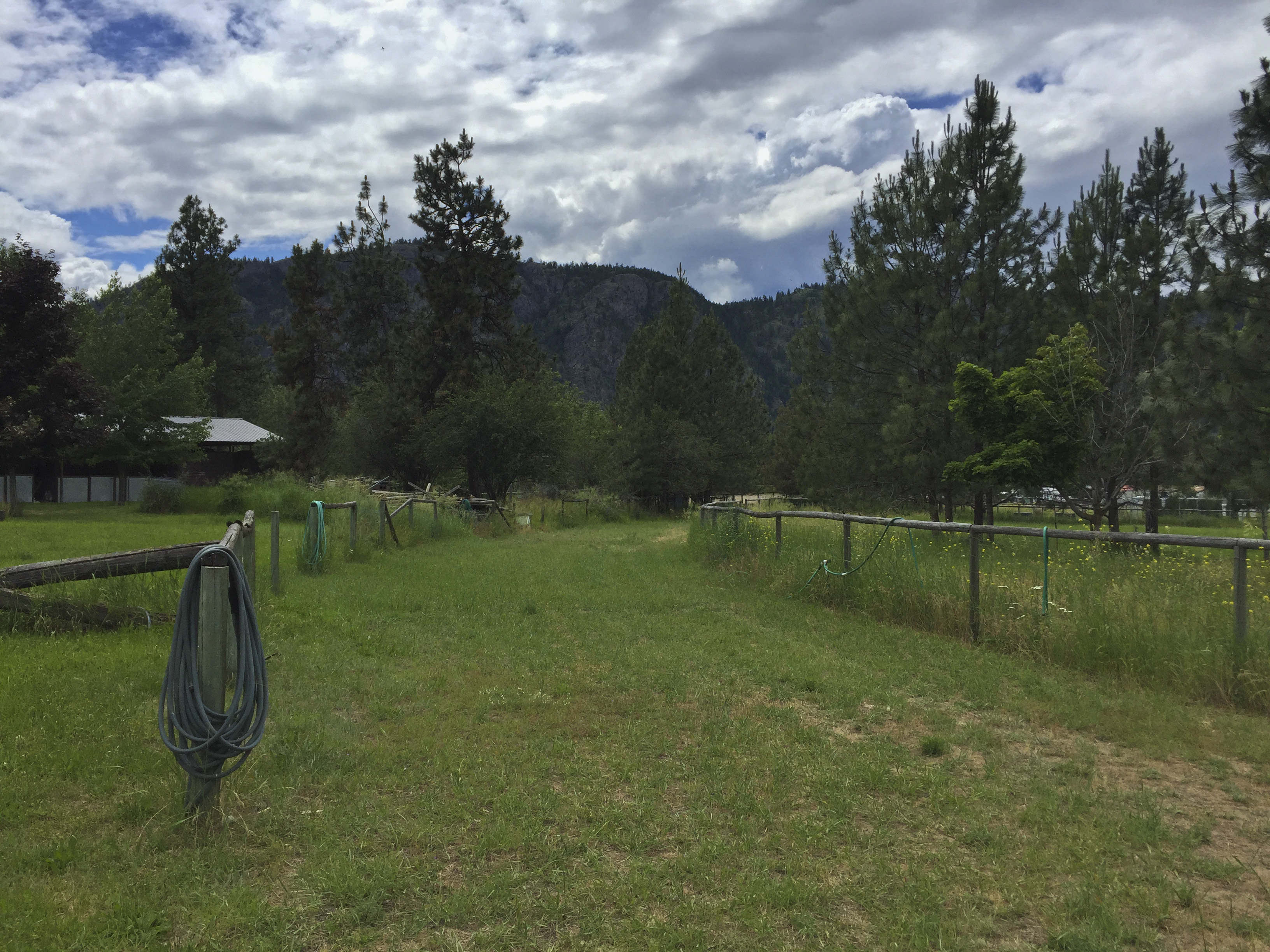 OKANAGAN PET RESORT PHOTO GALLERY